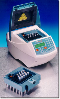PCR Express